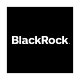 bfmcx|blackrock bhk.